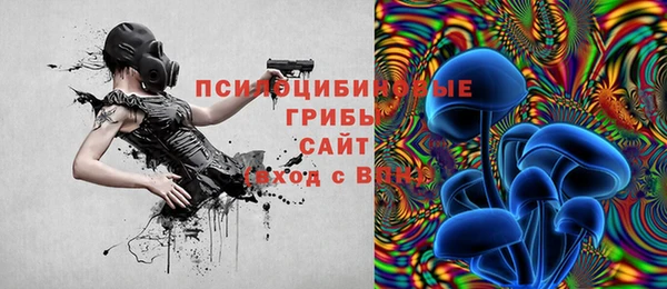 гашик Абдулино