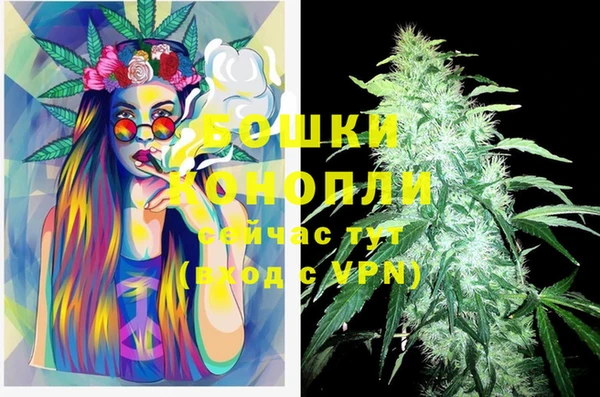 тгк Семёнов