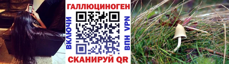 Галлюциногенные грибы мухоморы  Аксай 